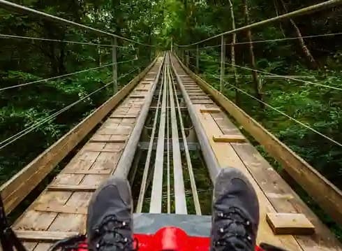 Zip World Fforest