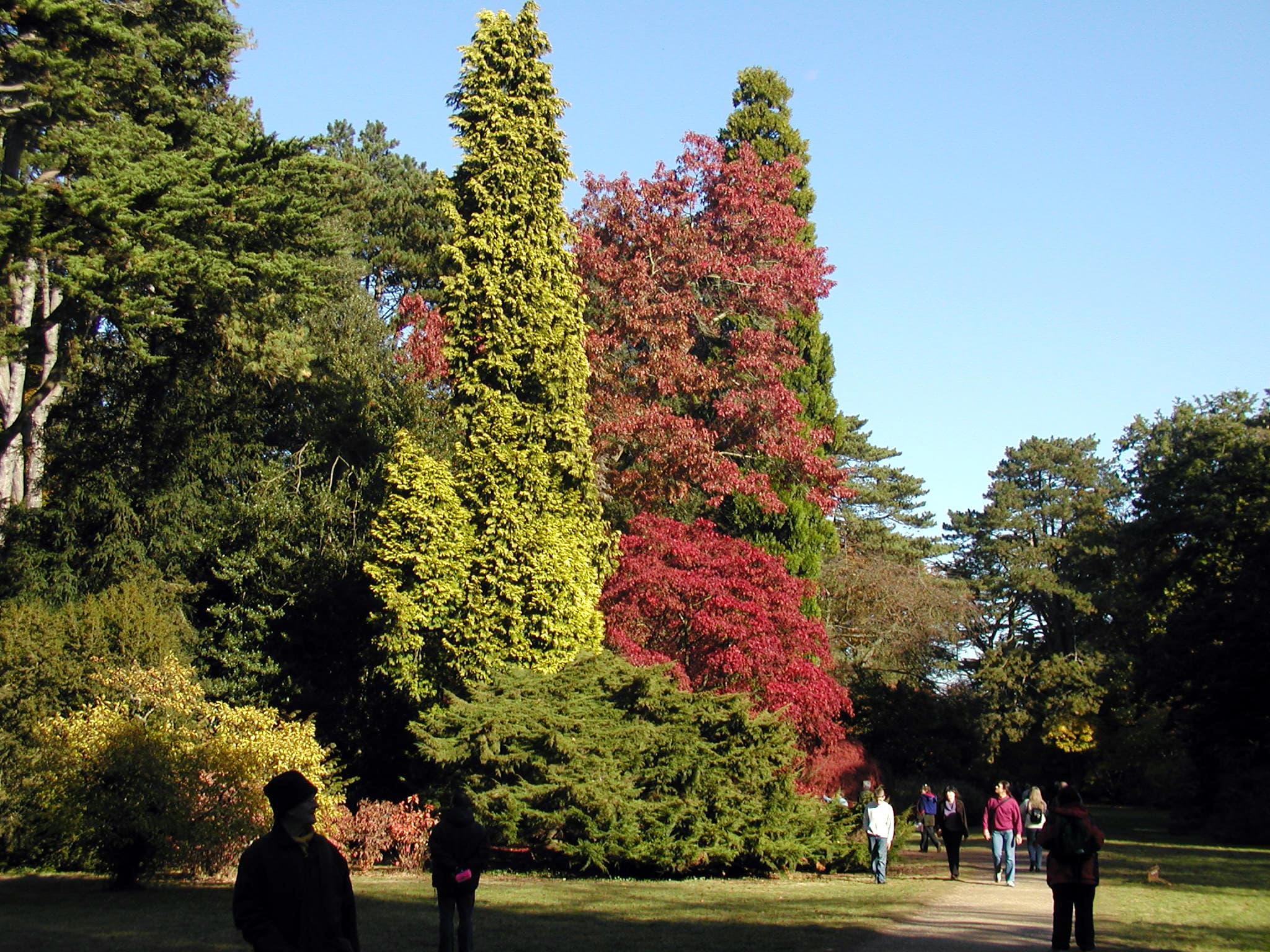 Westonbirt